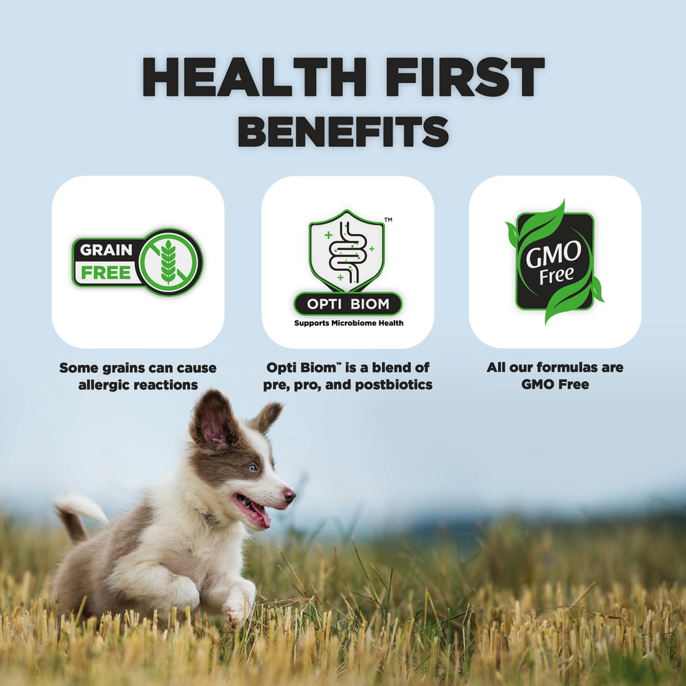 Junior, moyennes et grandes races