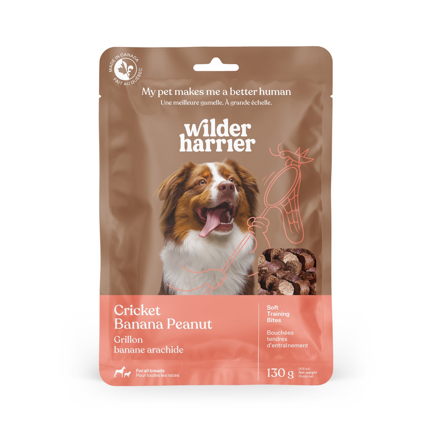 Cricket Training Bites