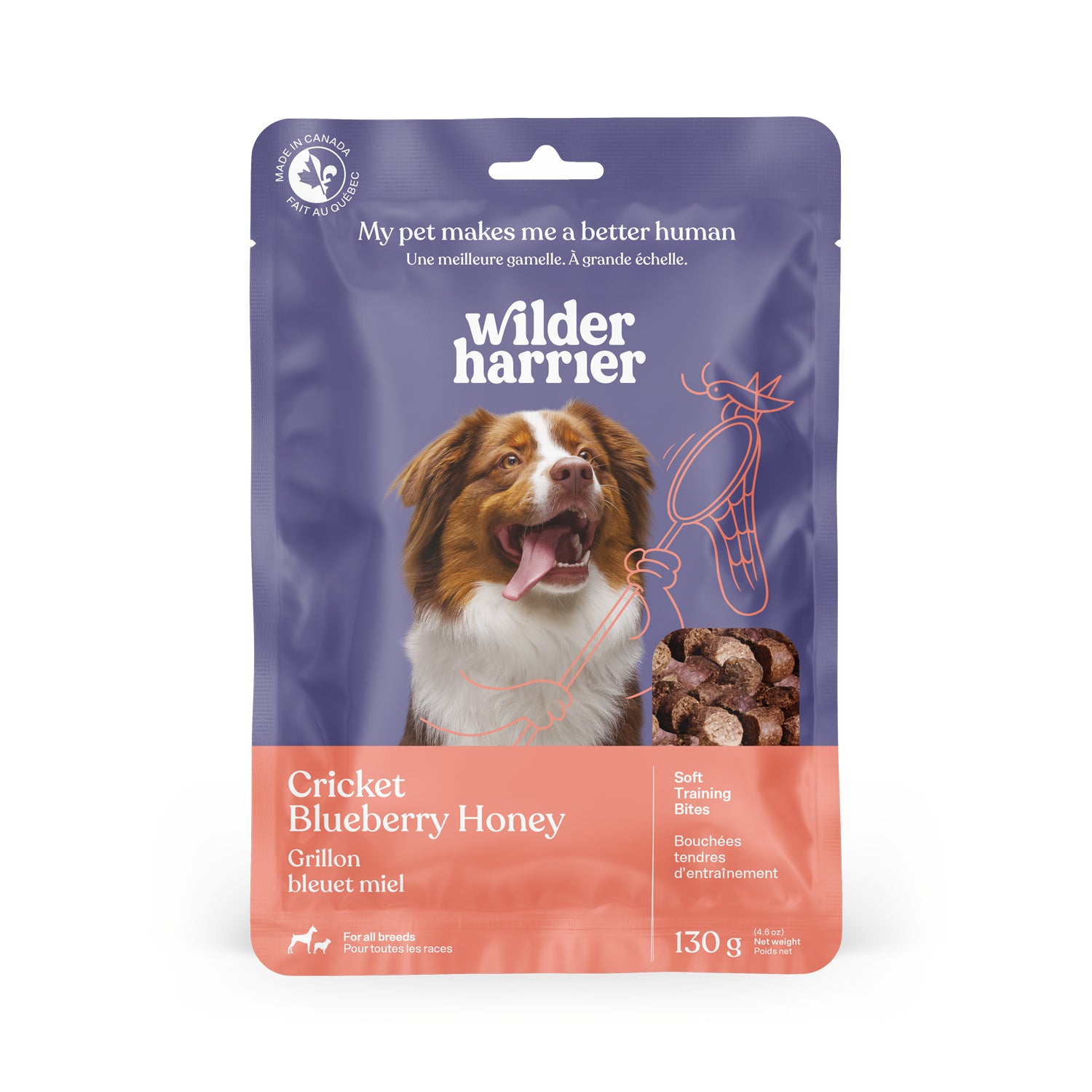 Cricket Training Bites