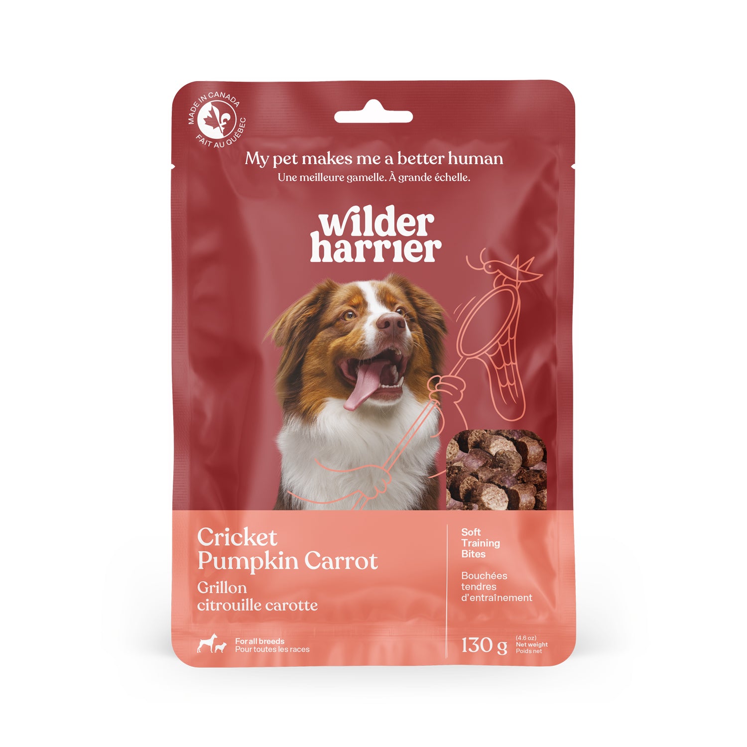 Cricket Training Bites