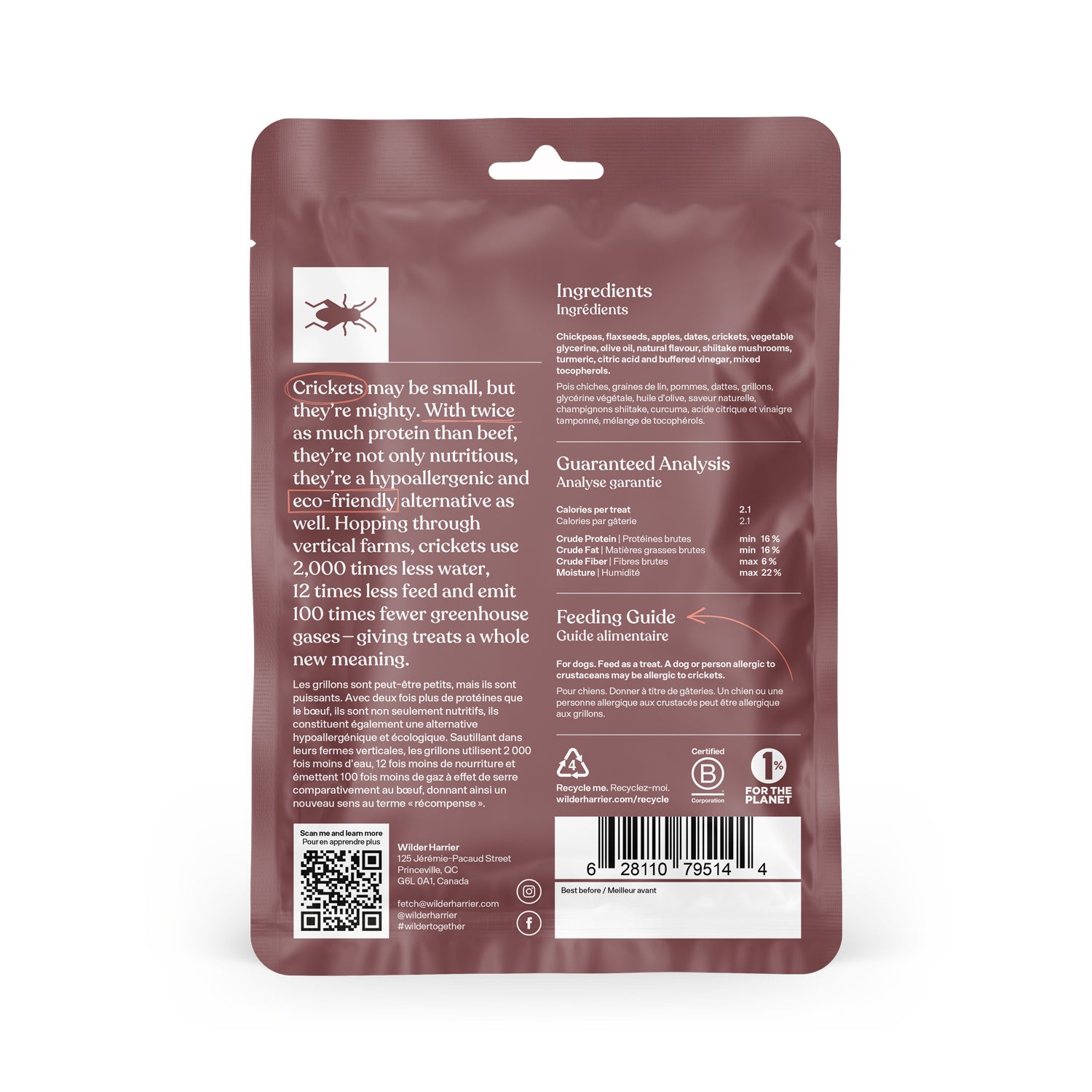 Cricket Training Bites